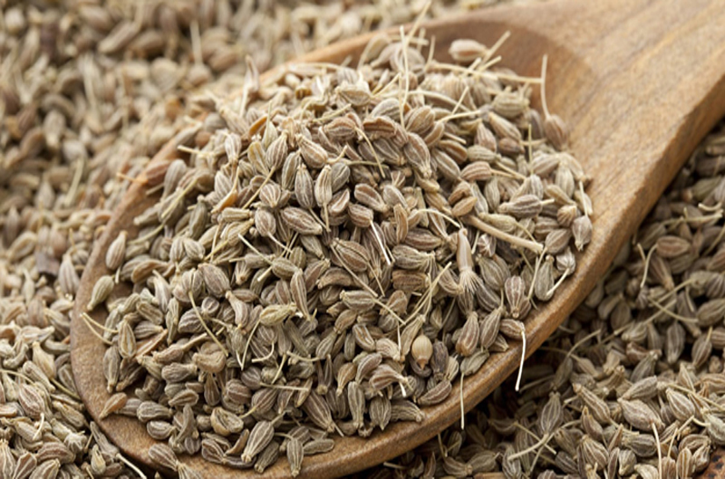 herbs